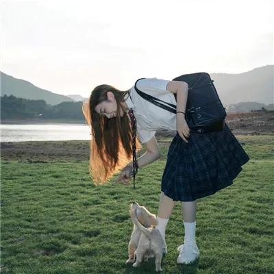 交媾知识